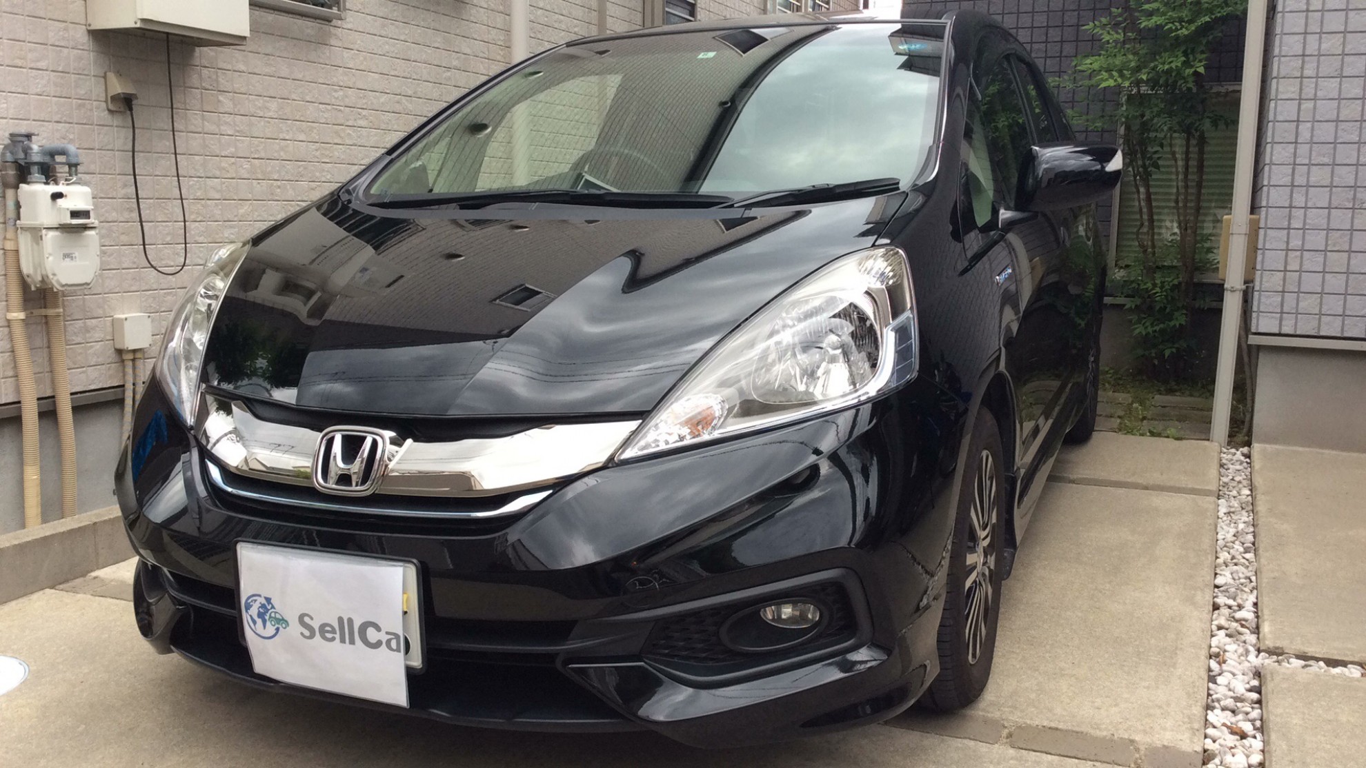 ホンダ フィットシャトルハイブリッドの売買実績画像