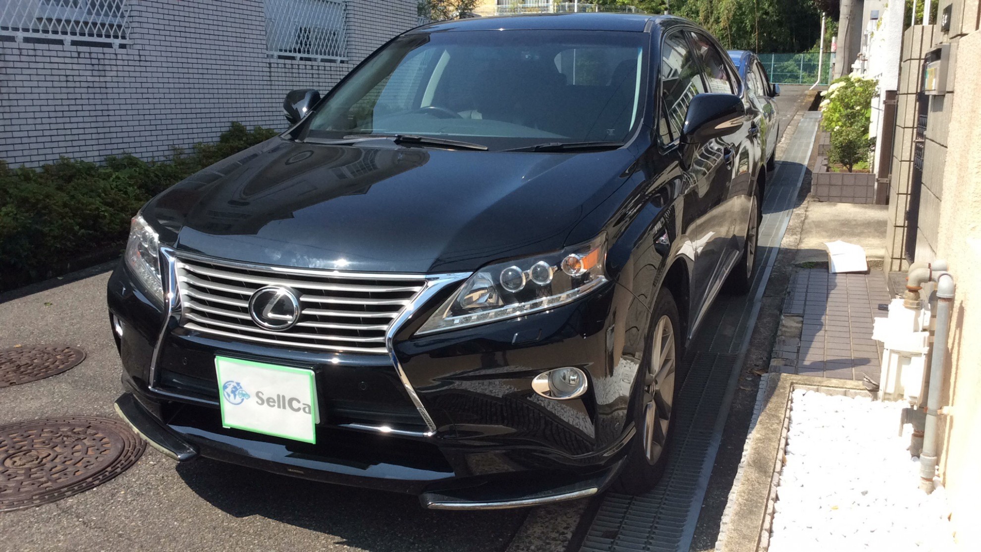 レクサス ＲＸの売買実績画像