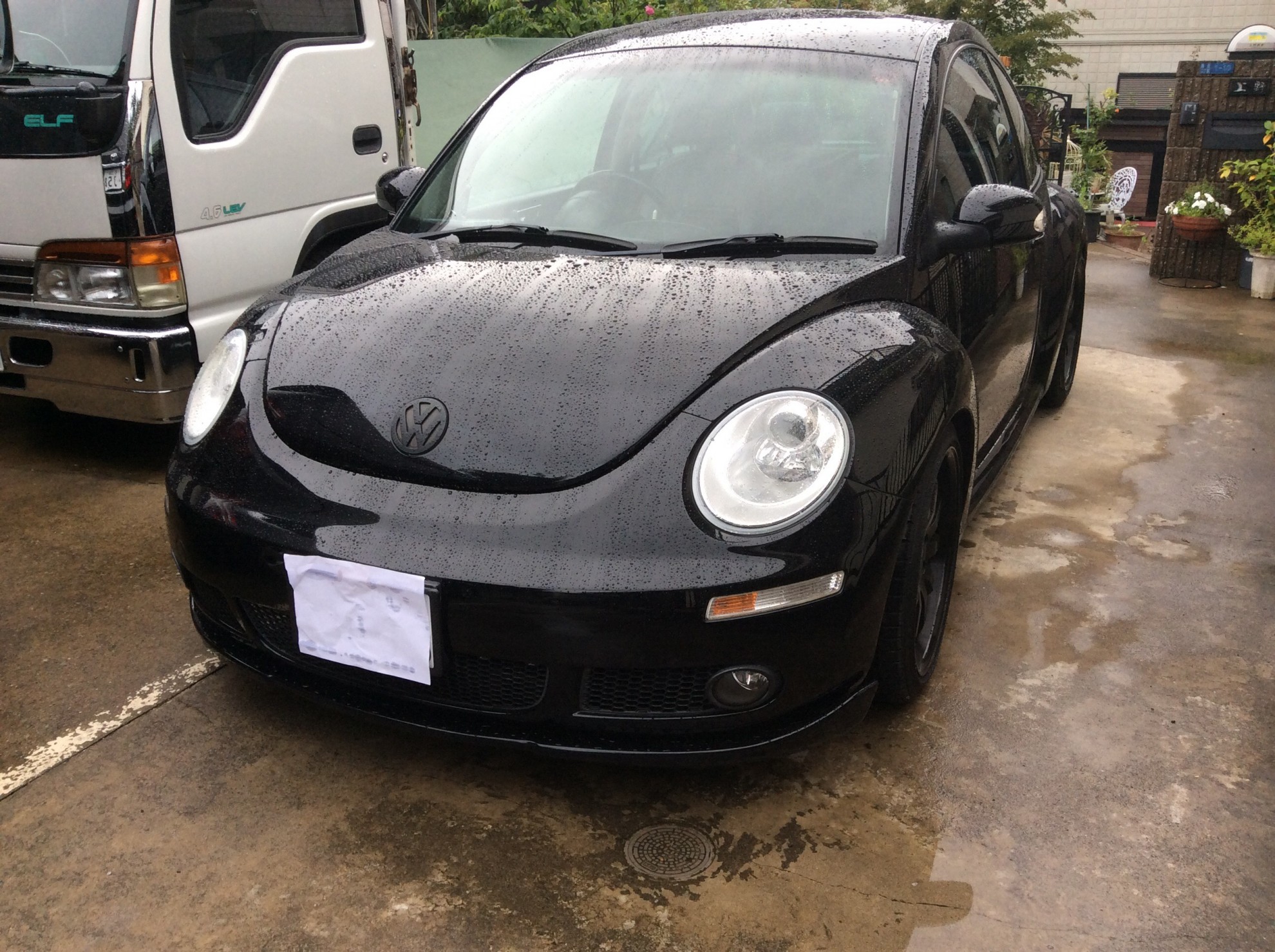 フォルクスワーゲン ニュービートルの売買実績画像