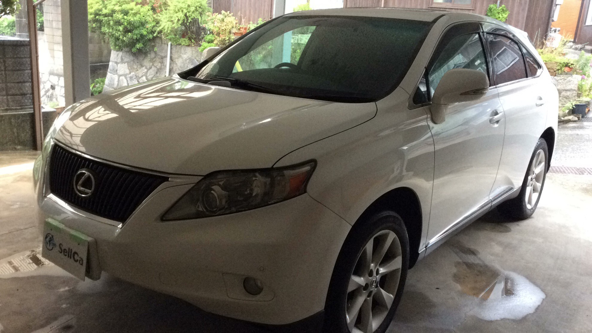 レクサス ＲＸの売買実績画像