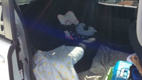 内装後方シート