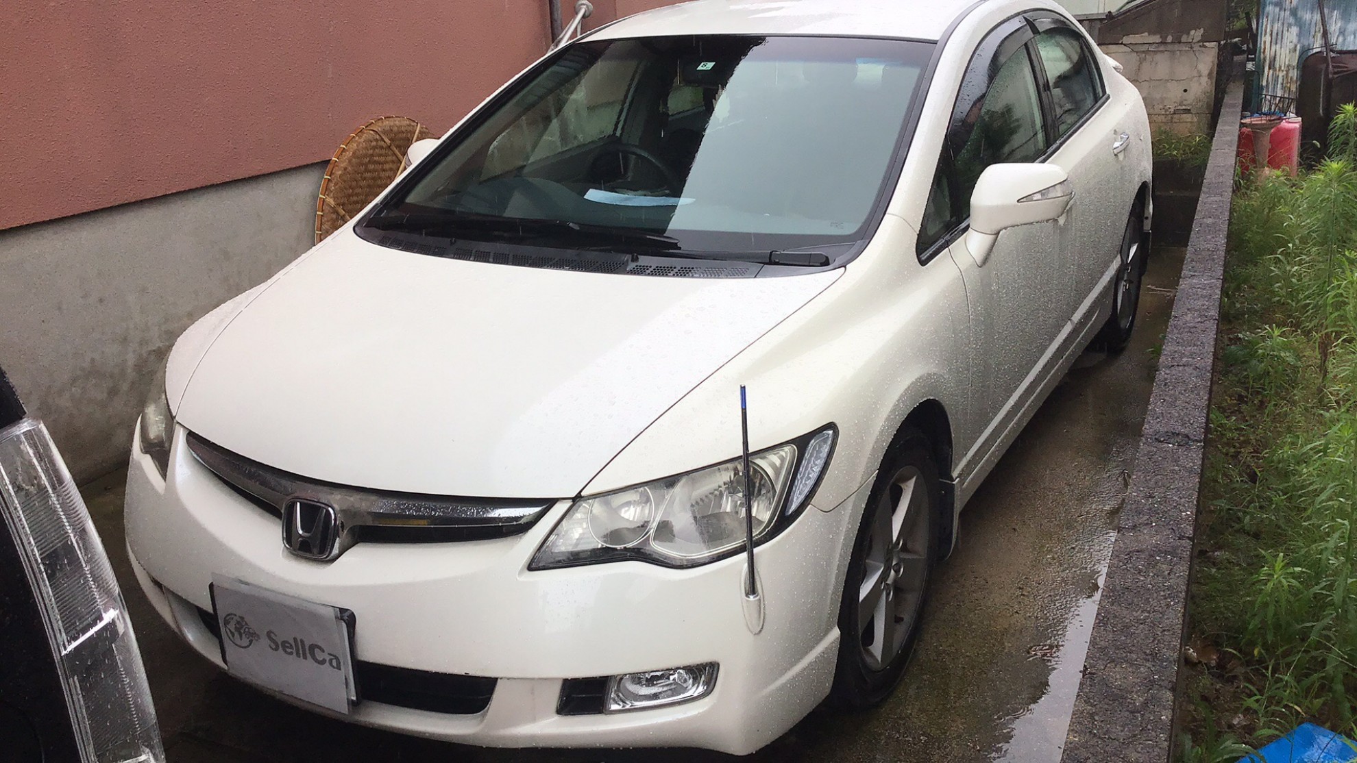 ホンダ シビックの売買実績画像