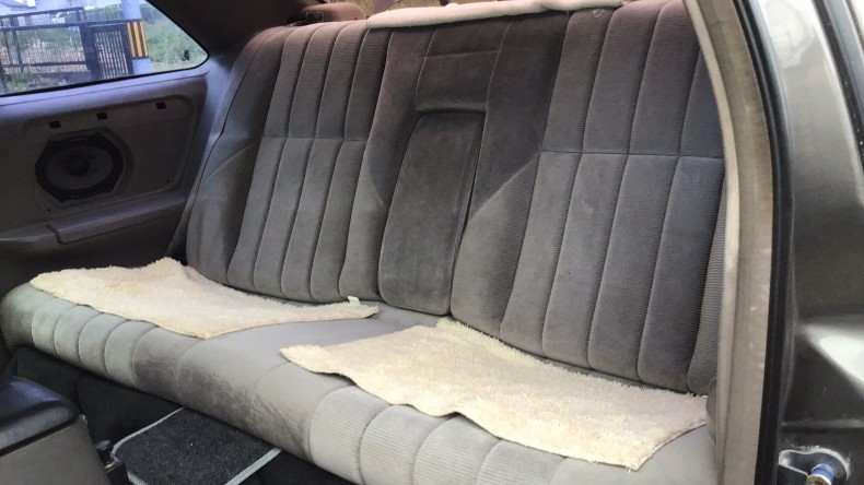 内装後方シート