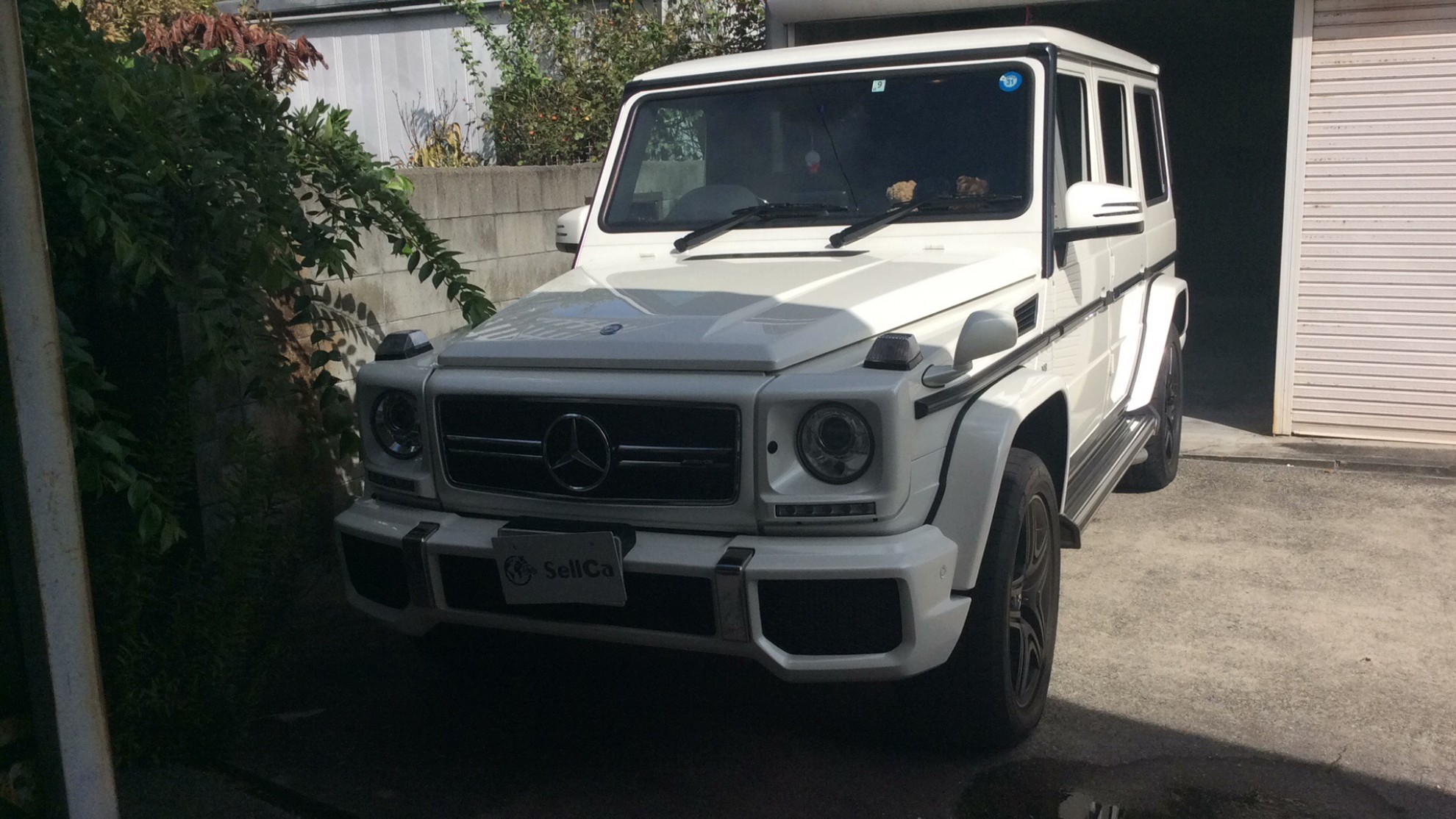 メルセデスＡＭＧ Ｇクラスの売買実績画像