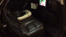 内装後方シート