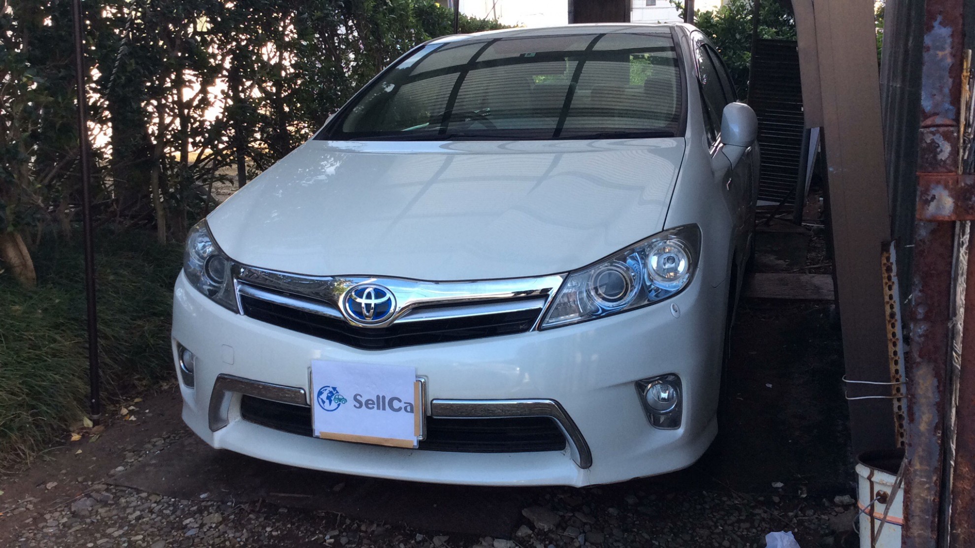 トヨタ ＳＡＩの売買実績画像