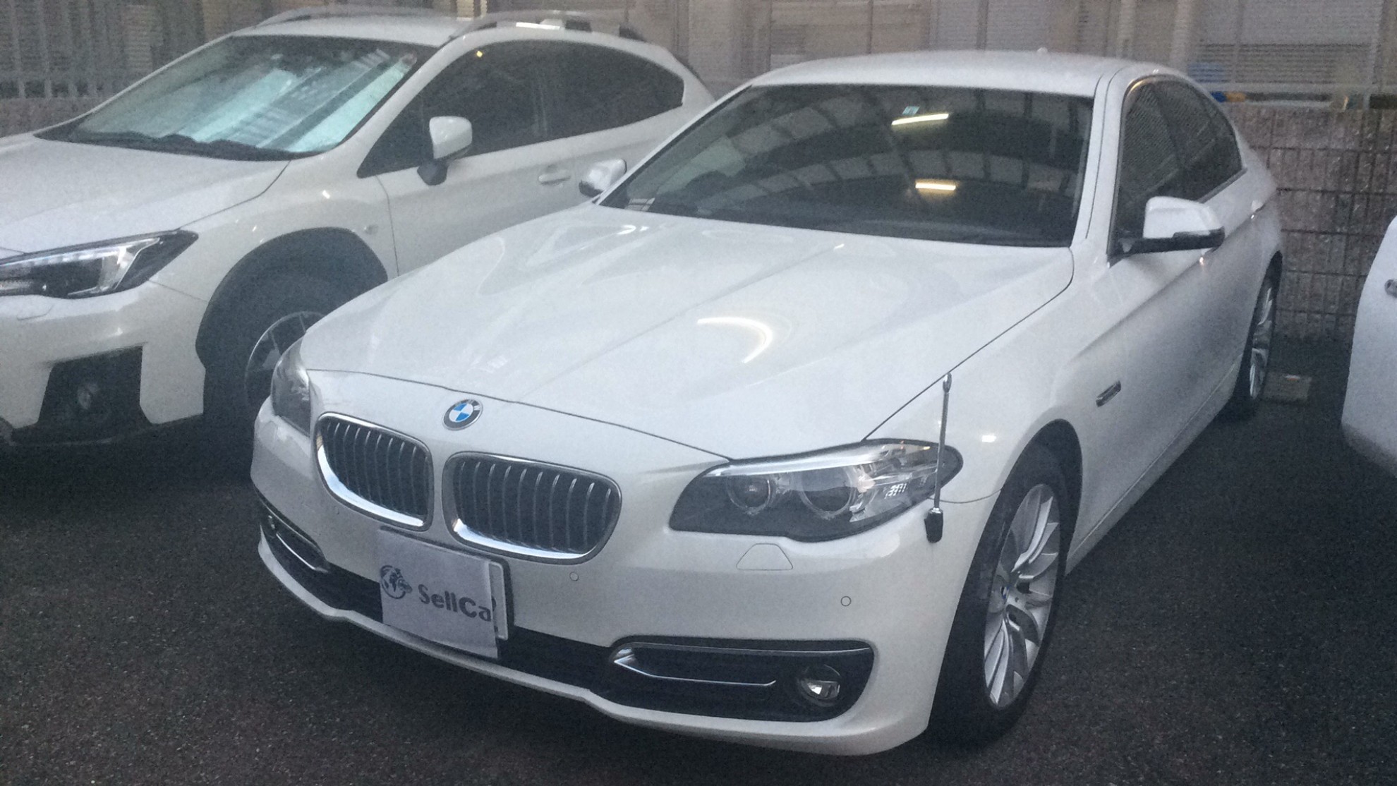 ＢＭＷ ５シリーズの売買実績画像