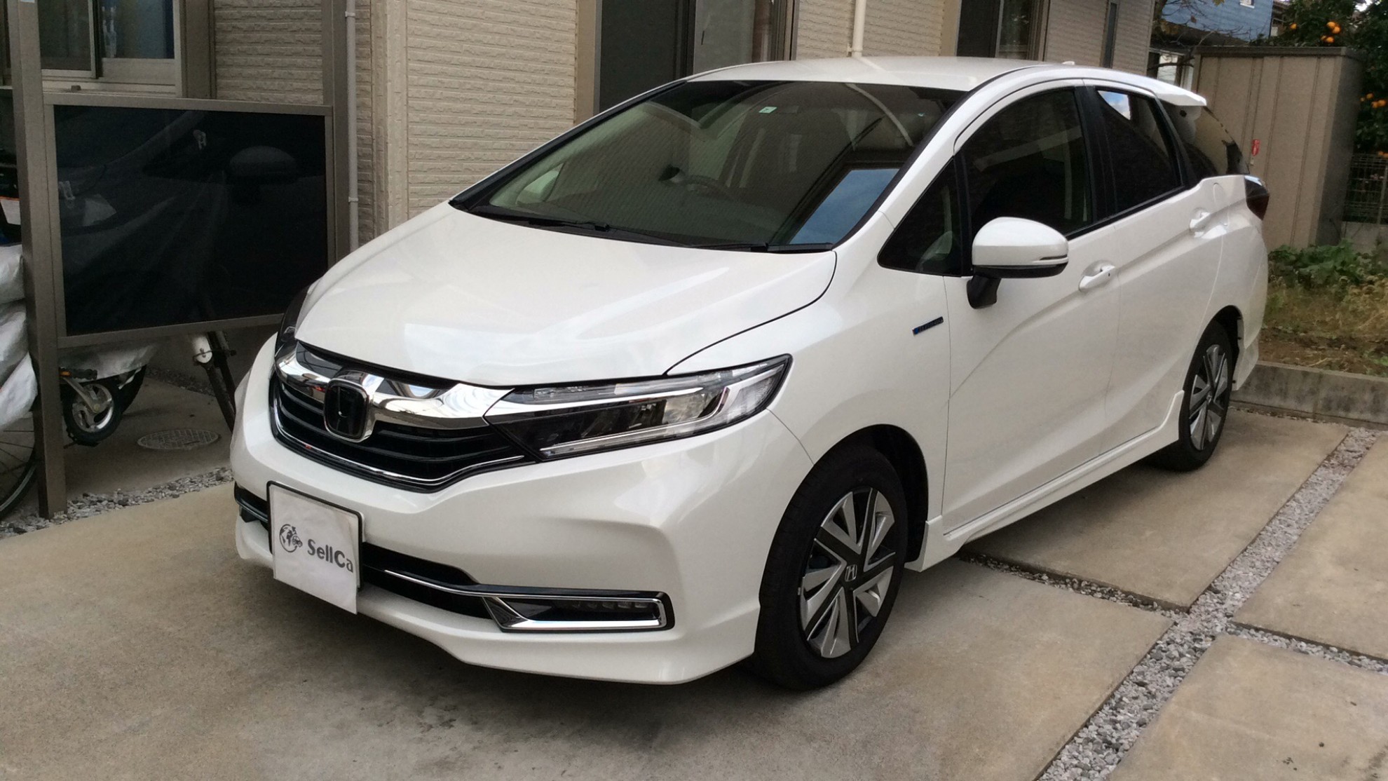 ホンダ シャトルの売買実績画像