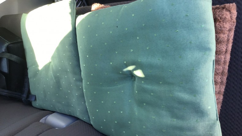 内装後方シート