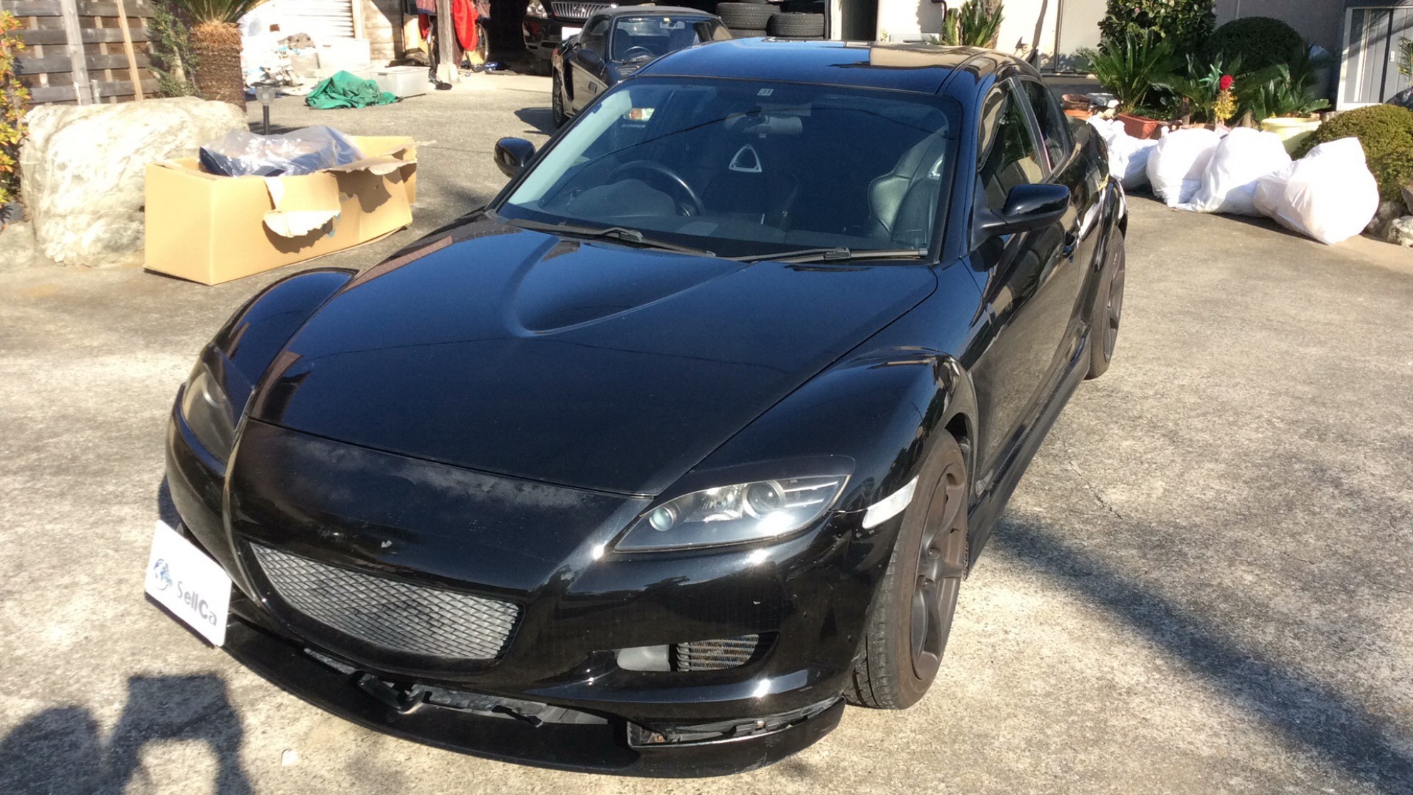マツダ ＲＸ－８の売買実績画像