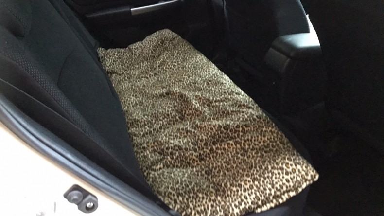 内装後方シート