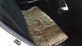 内装後方シート