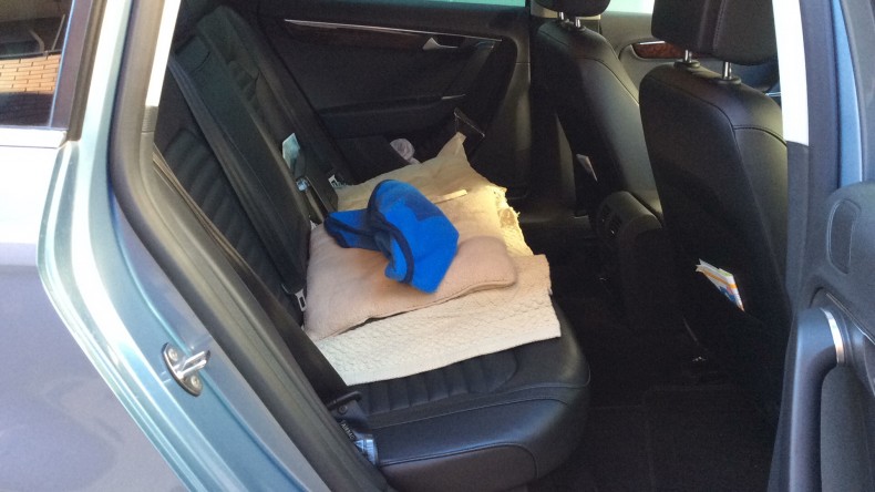 内装後方シート