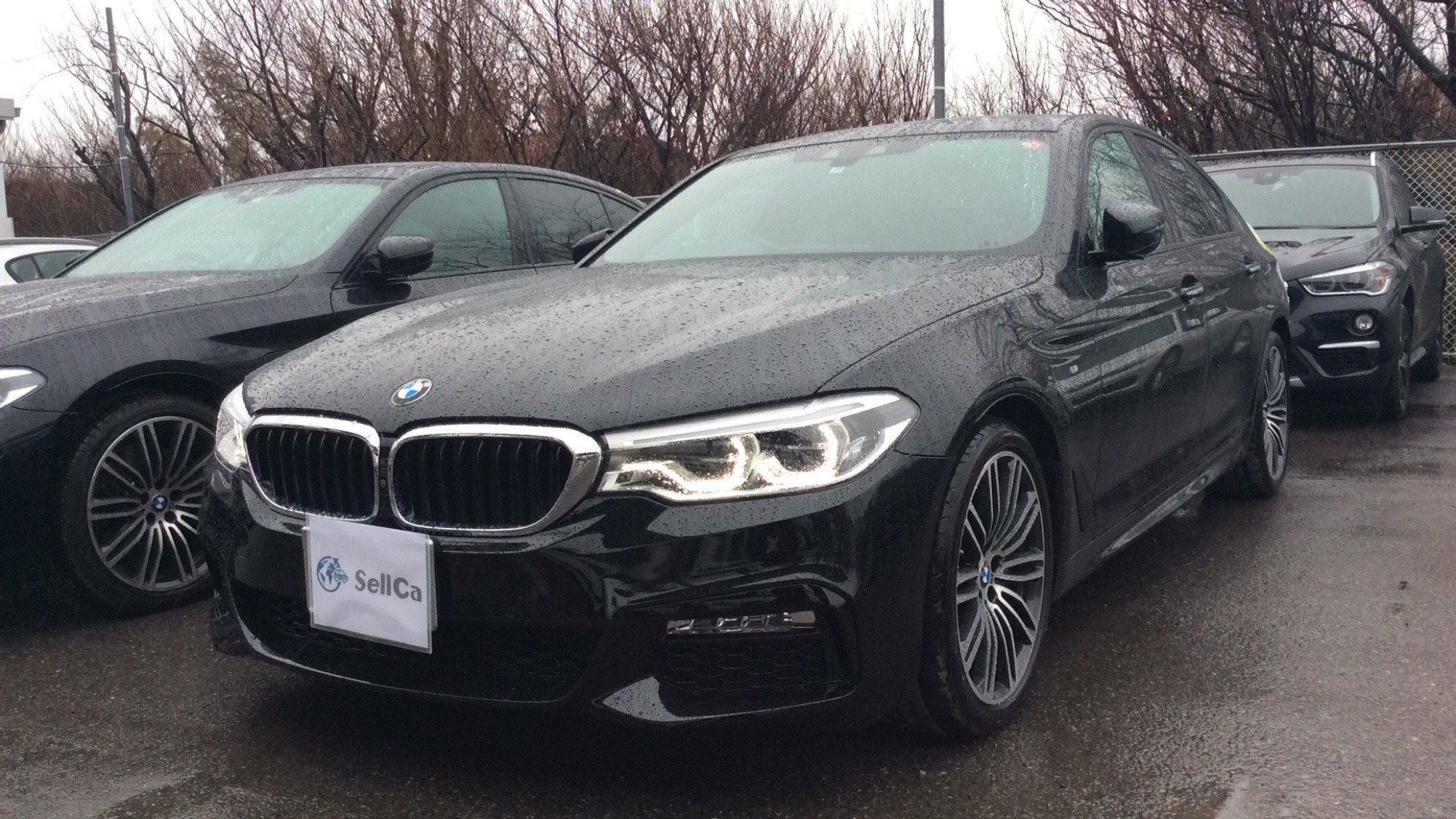 ＢＭＷ ５シリーズの売買実績画像