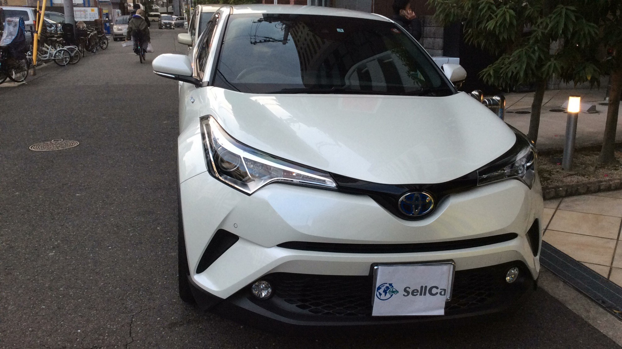 トヨタ Ｃ－ＨＲの売買実績画像