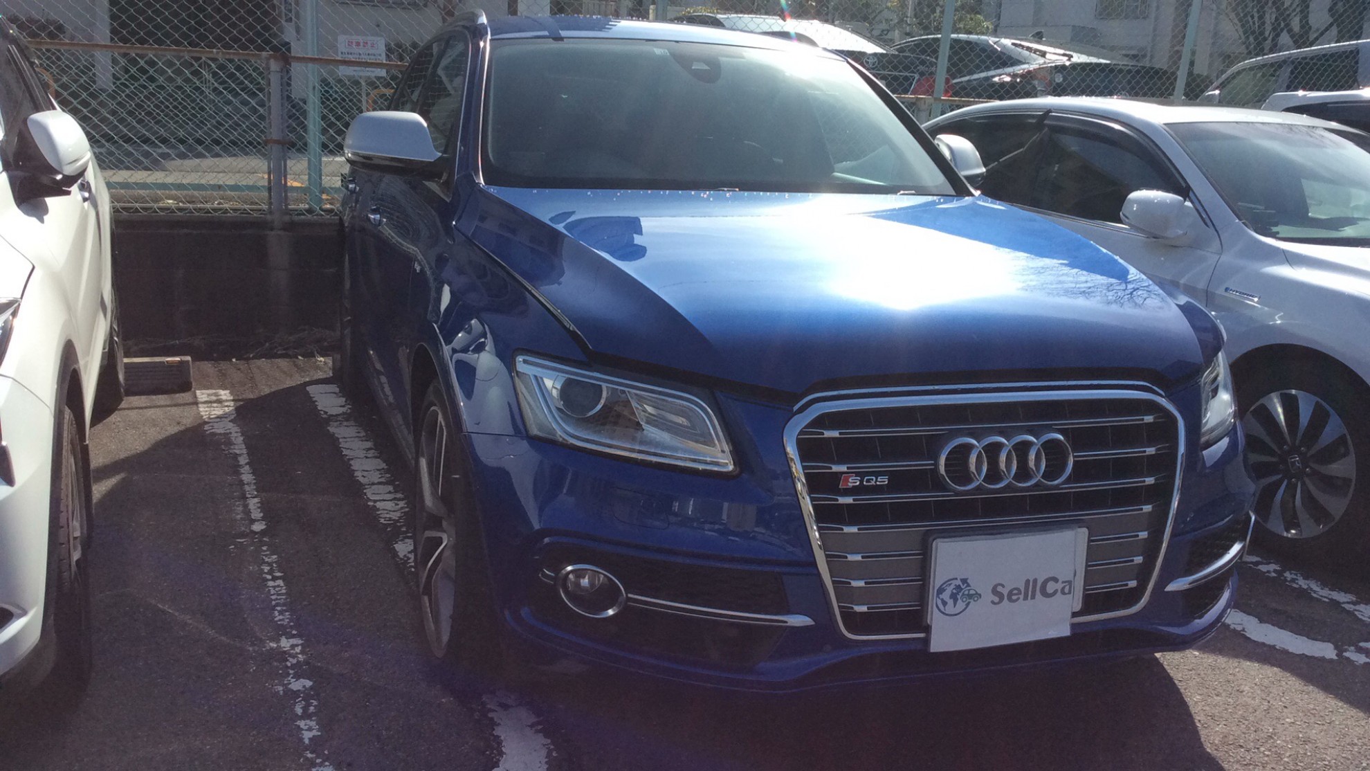 アウディ ＳＱ５の売買実績画像