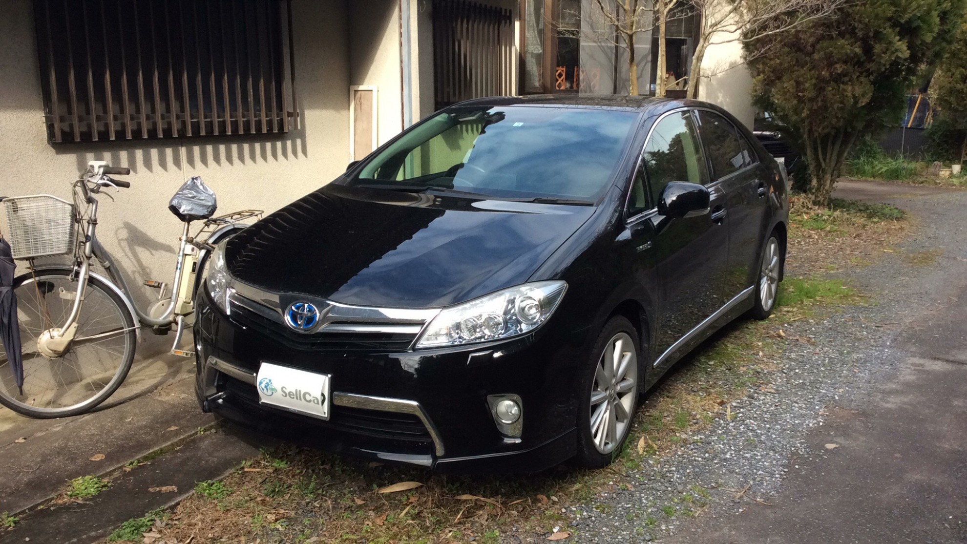 トヨタ ＳＡＩの売買実績画像