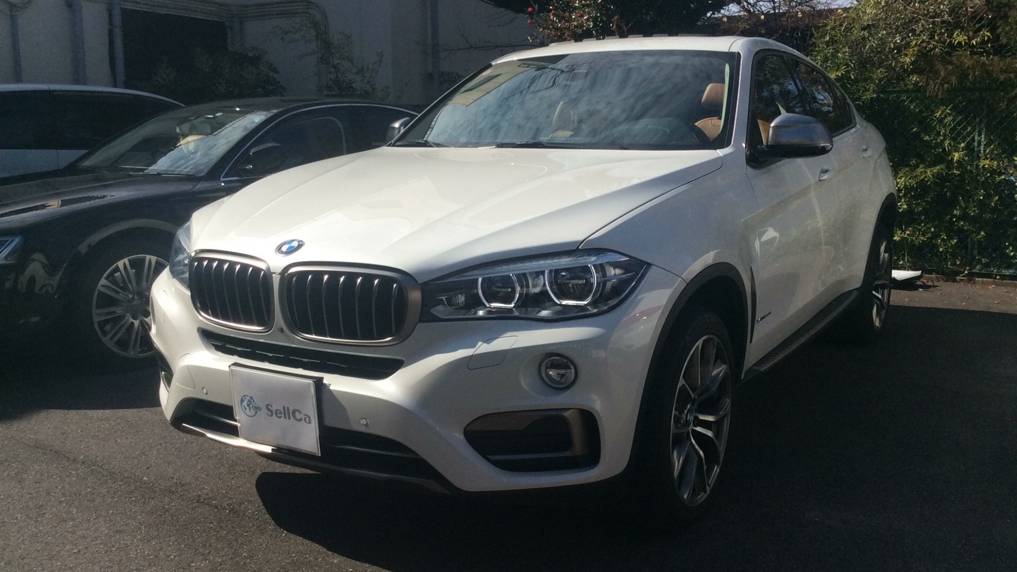 ＢＭＷ Ｘ６の売買実績画像