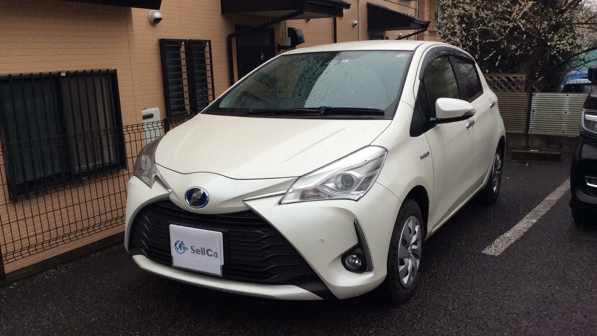 トヨタ ヴィッツの売買実績画像