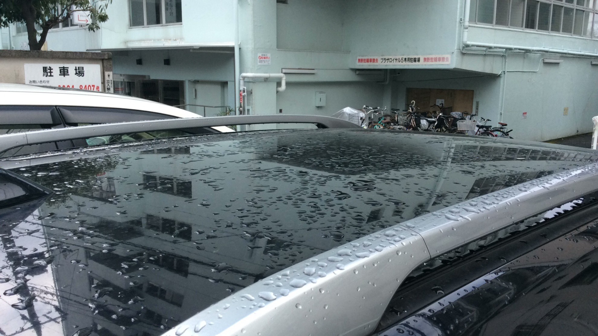 外装右前