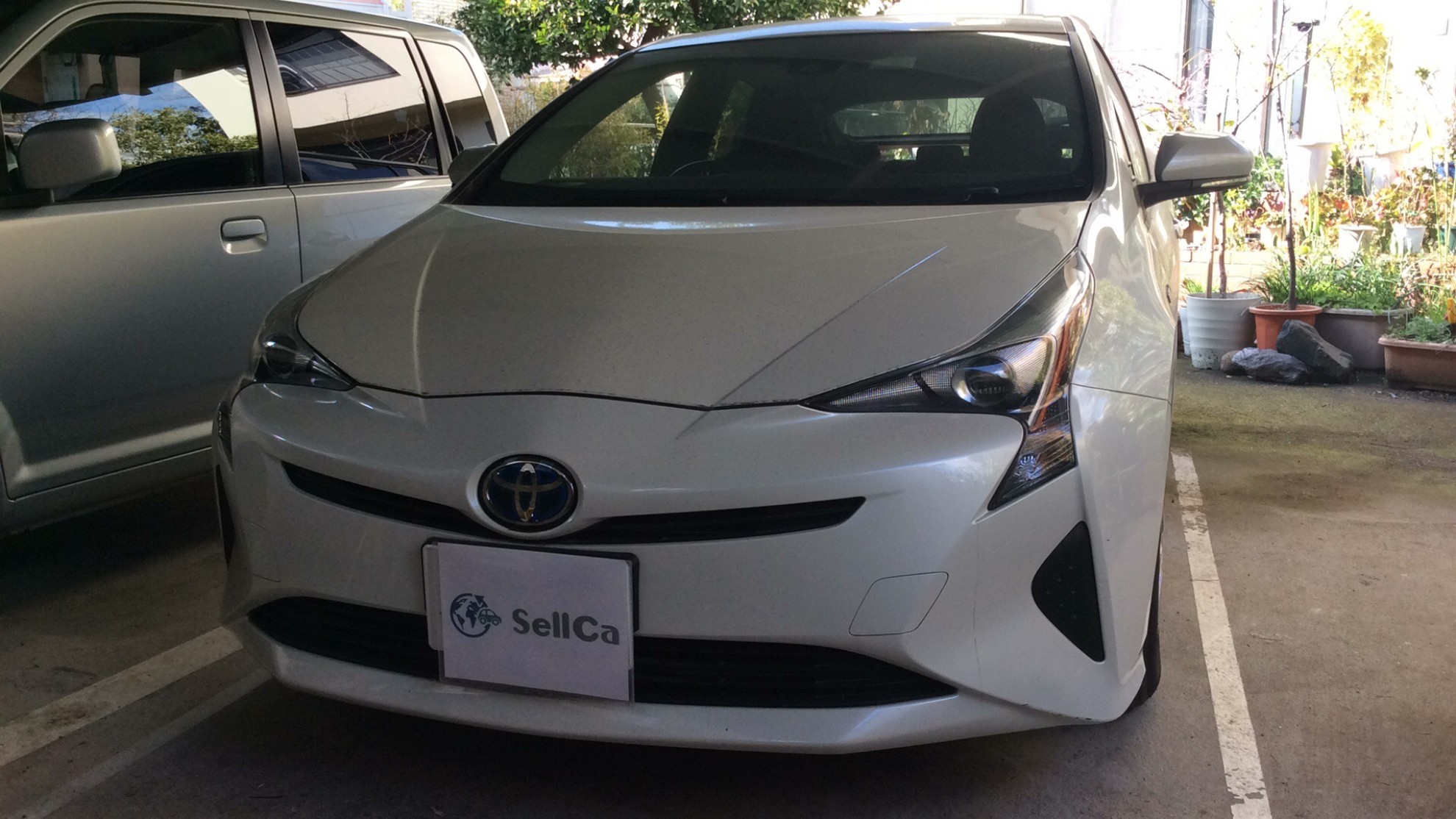 トヨタ プリウスの売買実績画像