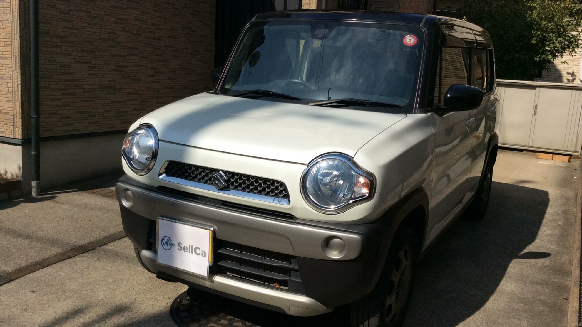 スズキ ハスラーの売買実績画像