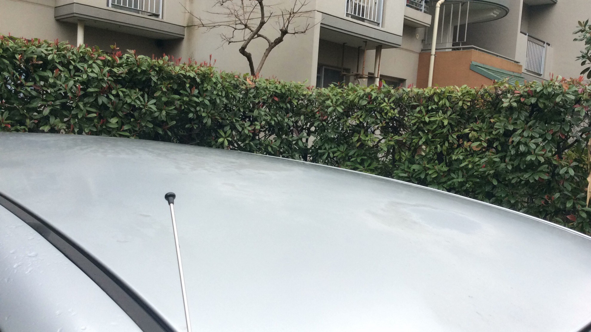 外装右前