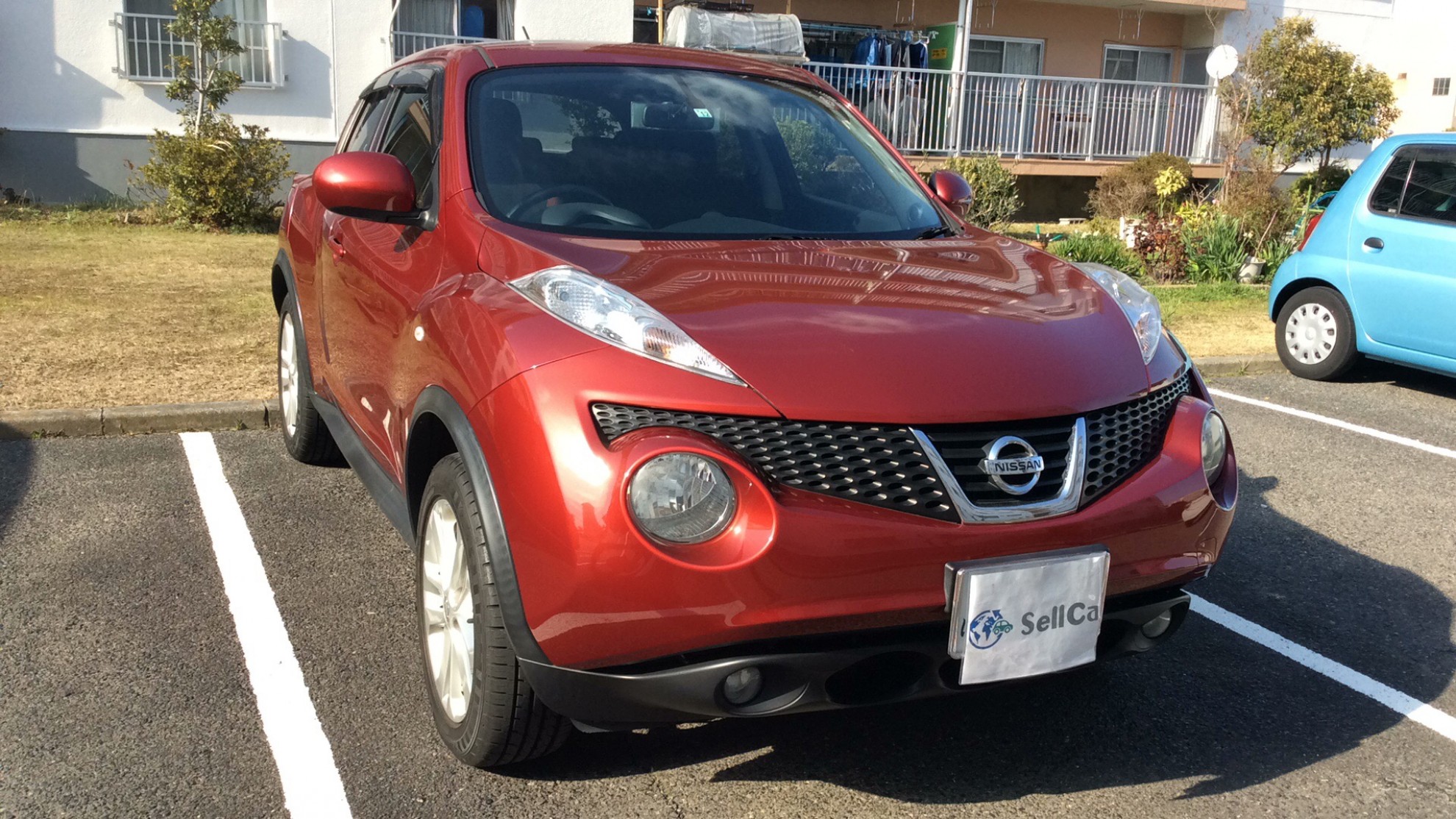 日産 ジュークの売買実績画像