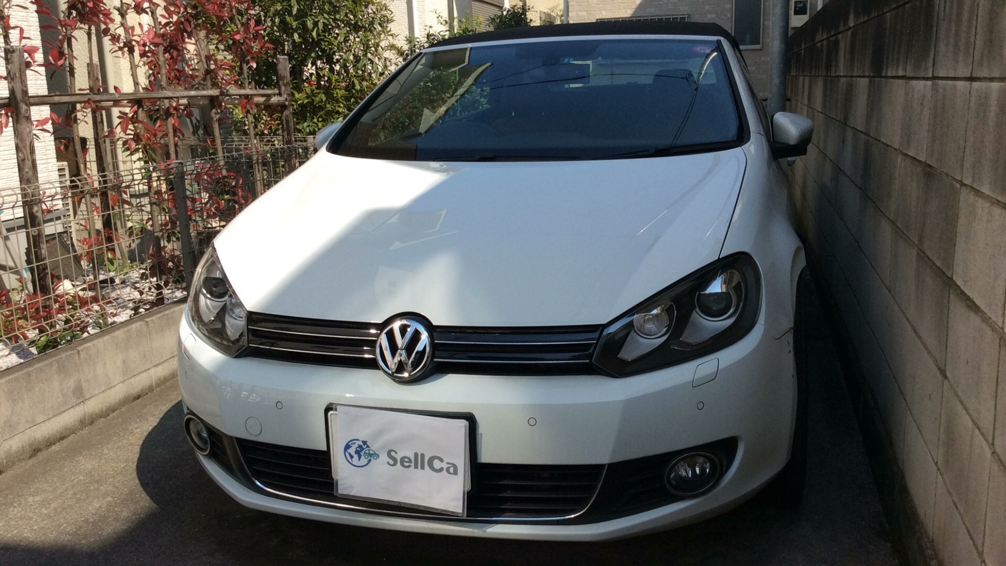 フォルクスワーゲン ゴルフカブリオレの売買実績画像