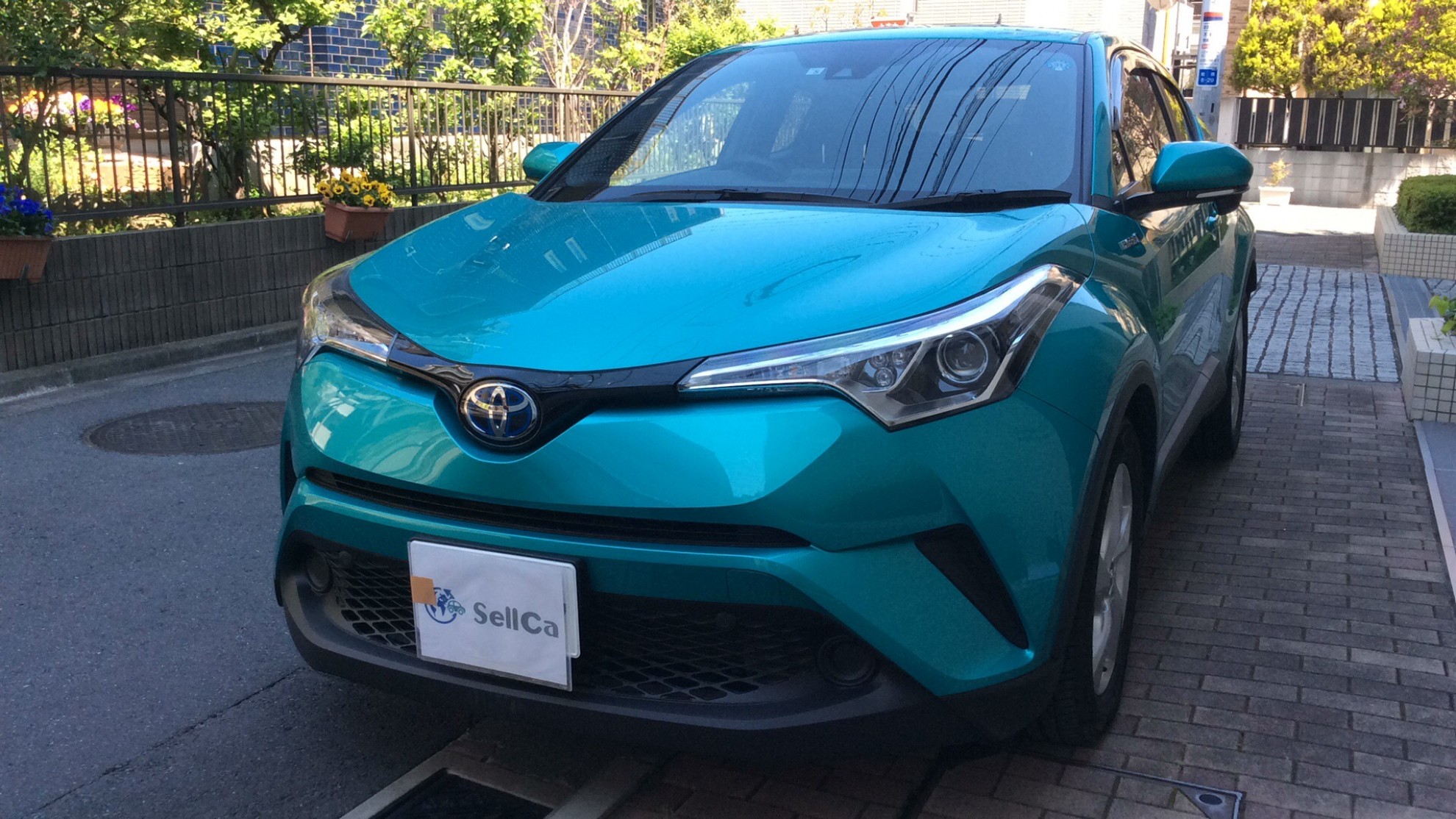 トヨタ Ｃ－ＨＲの売買実績画像