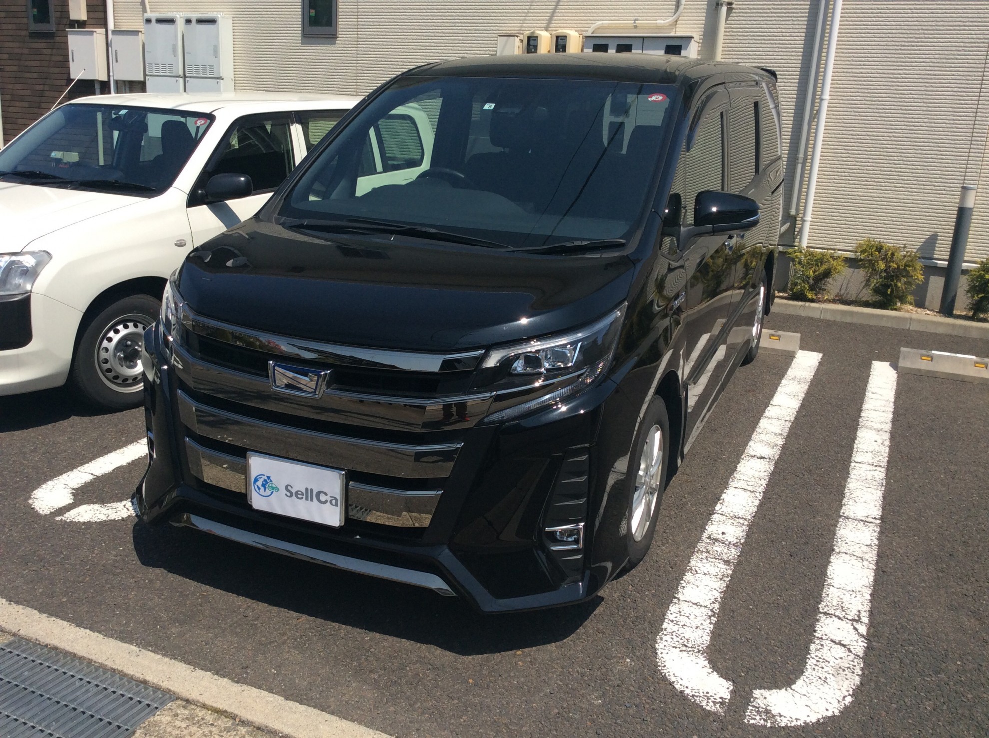 トヨタ ノアの売買実績画像