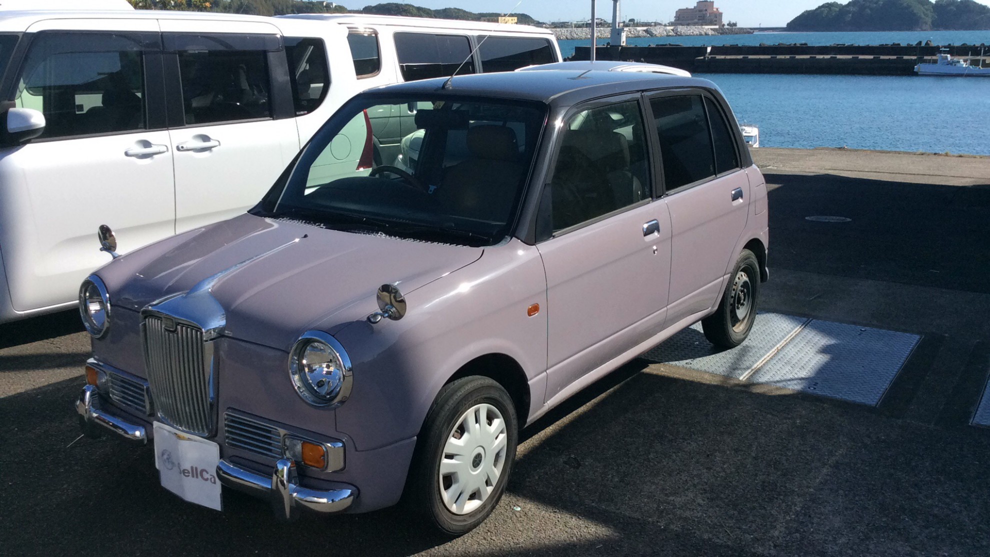 ミツオカ レイの売買実績画像