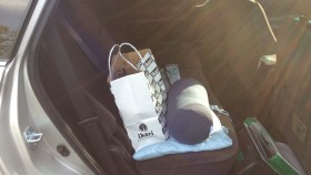 内装後方シート