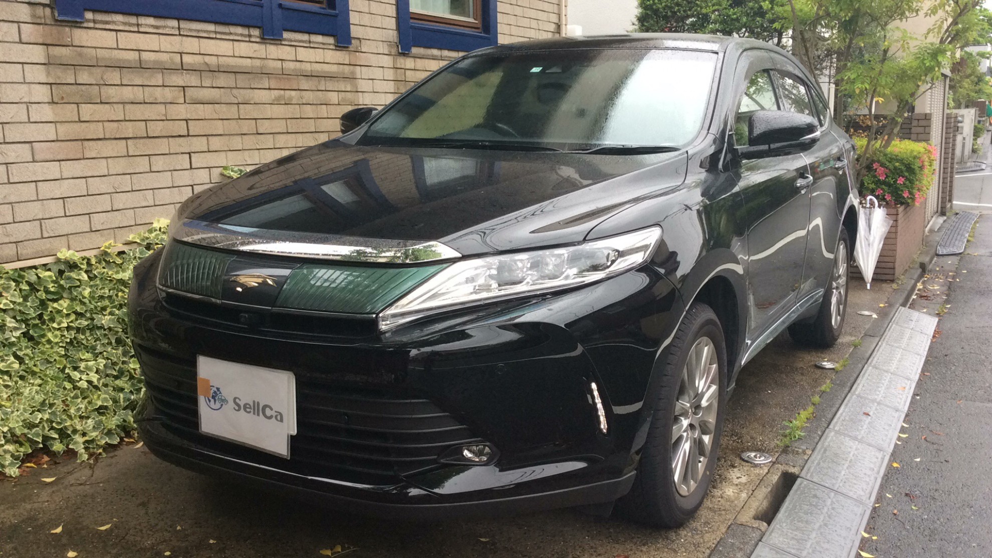 トヨタ ハリアーの売買実績画像