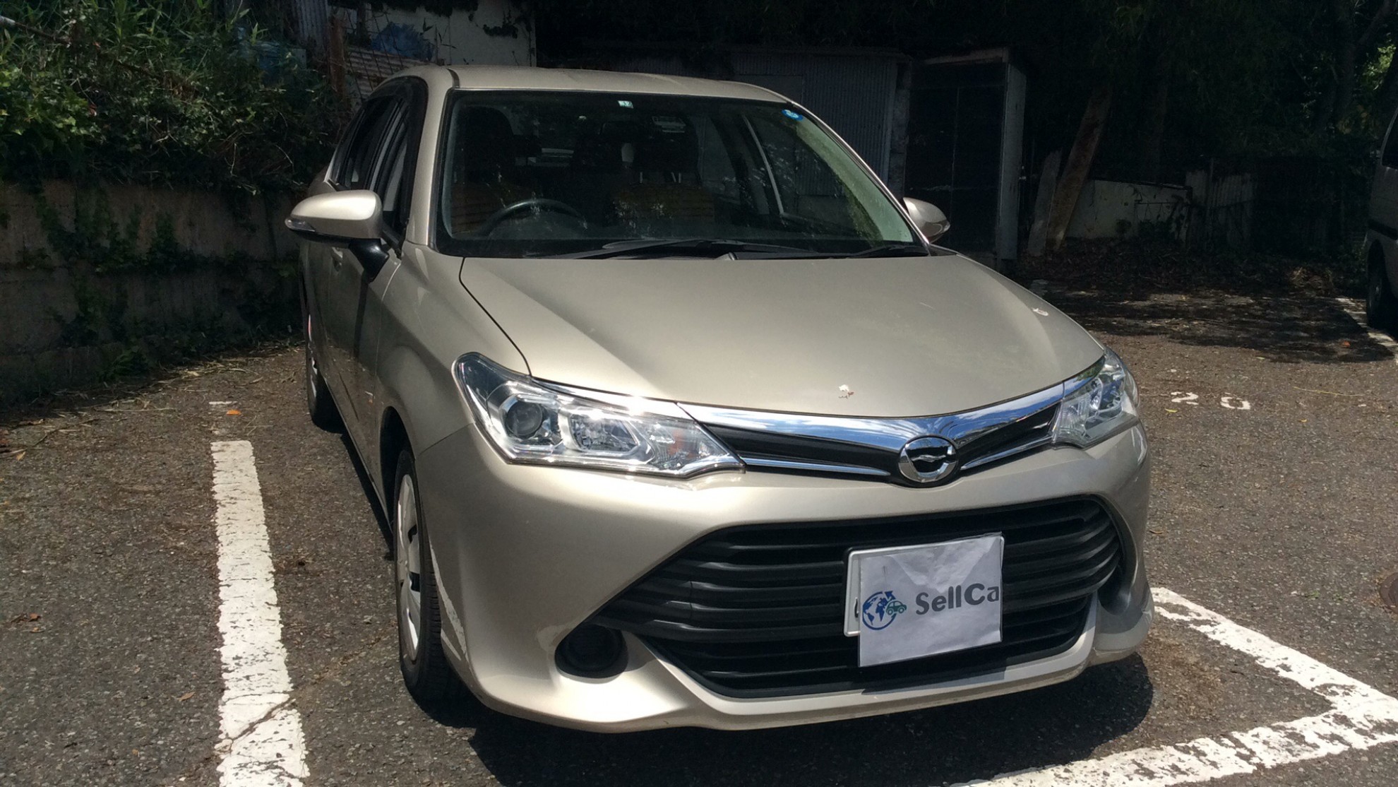 トヨタ カローラアクシオの売買実績画像