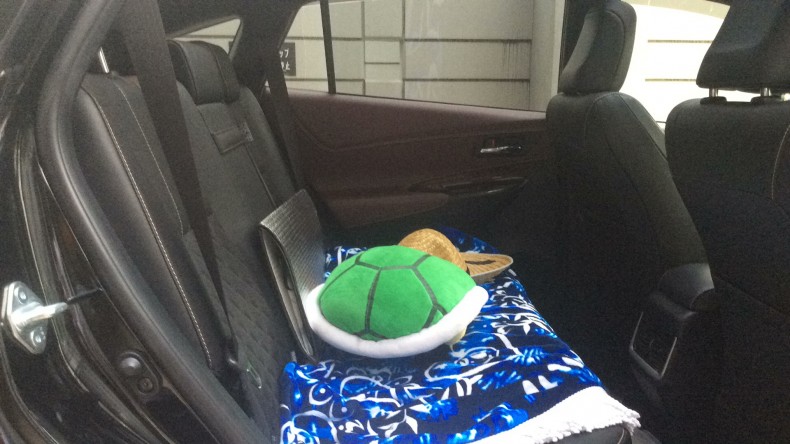 内装後方シート