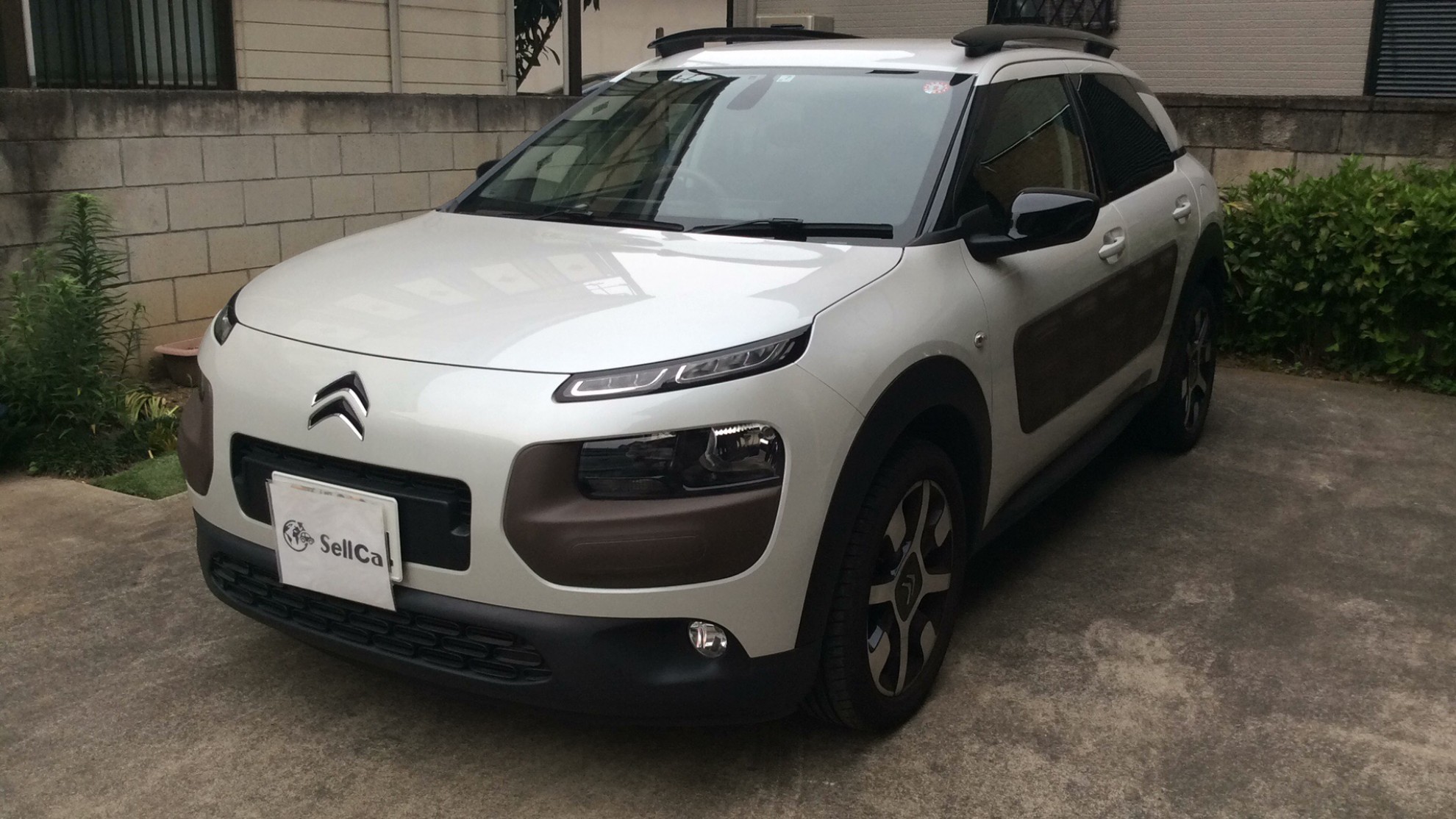 シトロエン Ｃ４ カクタスの売買実績画像