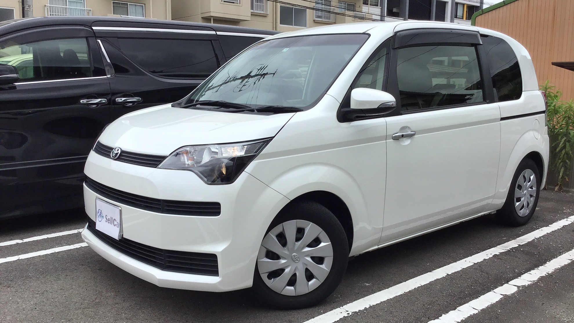 トヨタ スペイドの売買実績画像