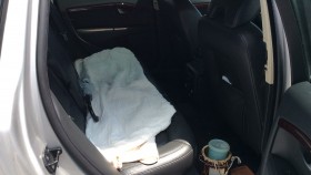 内装後方シート