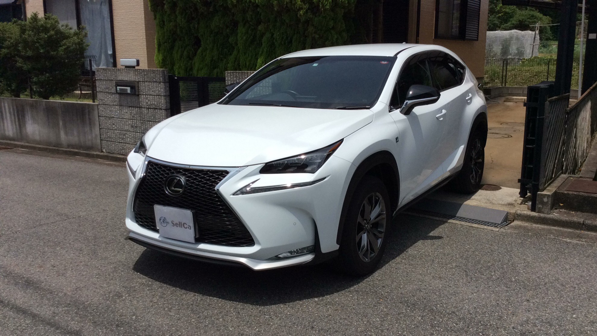 レクサス ＮＸの売買実績画像