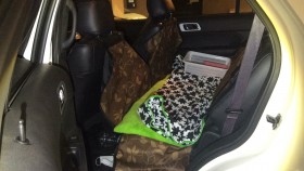 内装後方シート