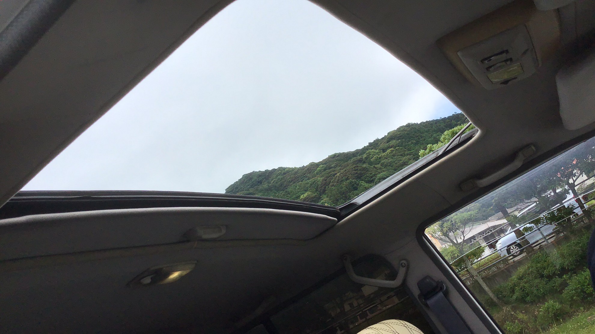 内装ルーフ