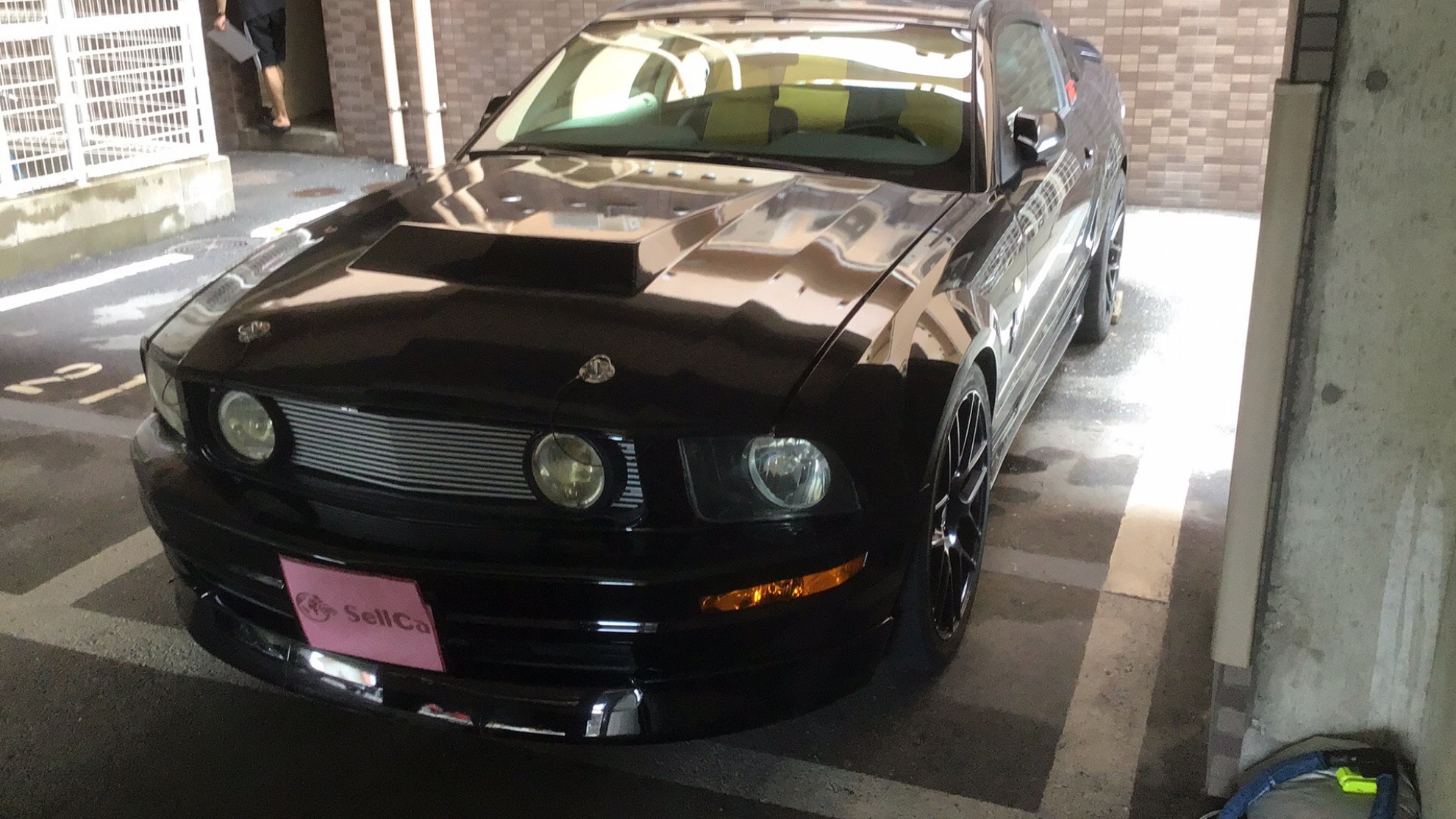 フォード マスタングの売買実績画像