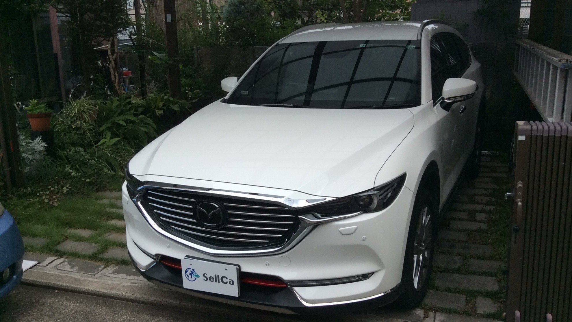 マツダ ＣＸ－８の売買実績画像