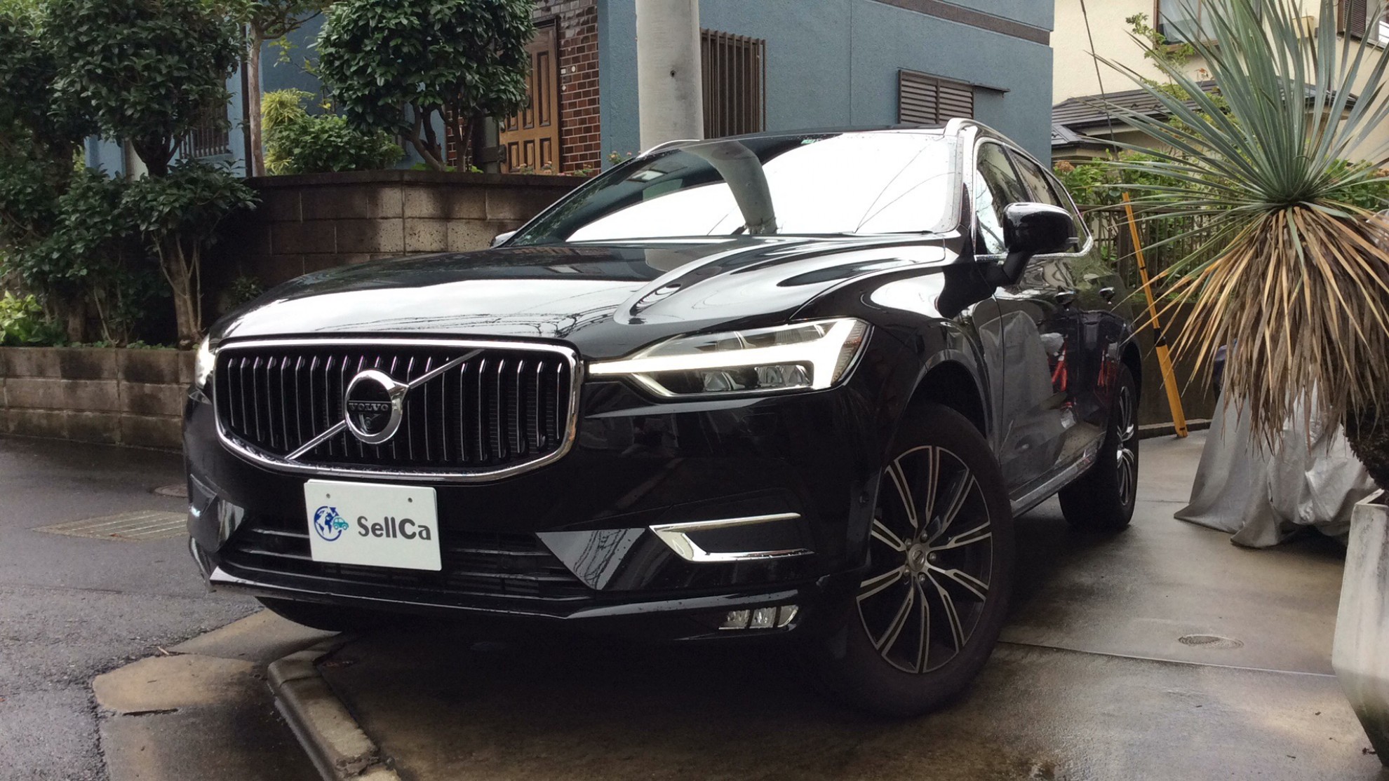 ボルボ ＸＣ６０の売買実績画像