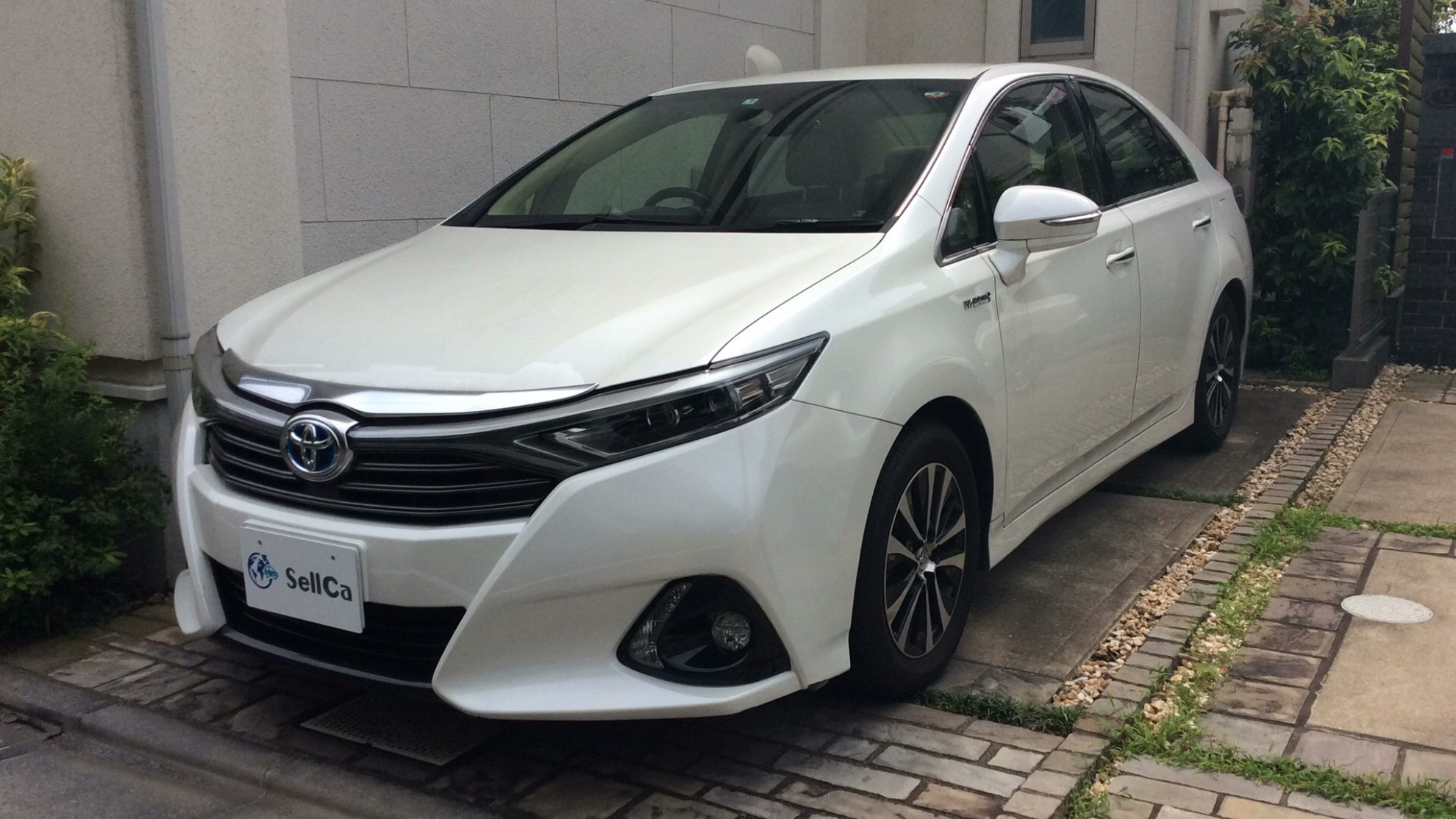 トヨタ ＳＡＩの売買実績画像