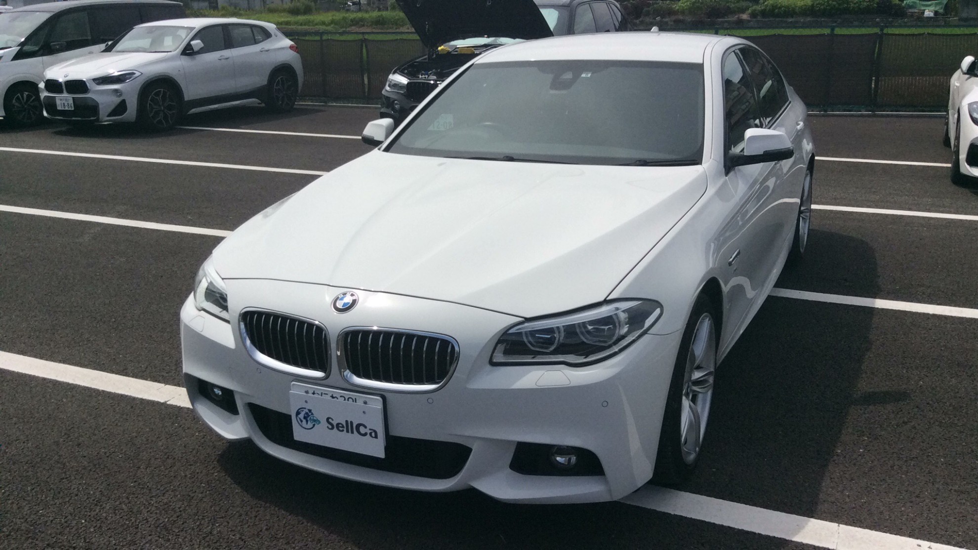 ＢＭＷ ５シリーズの売買実績画像