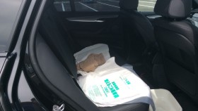 内装後方シート