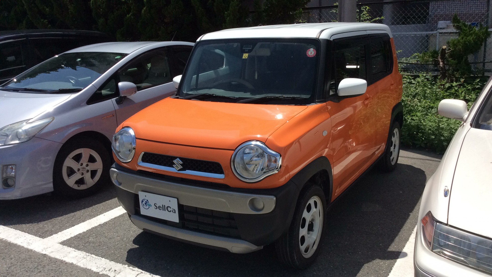 スズキ ハスラーの売買実績画像