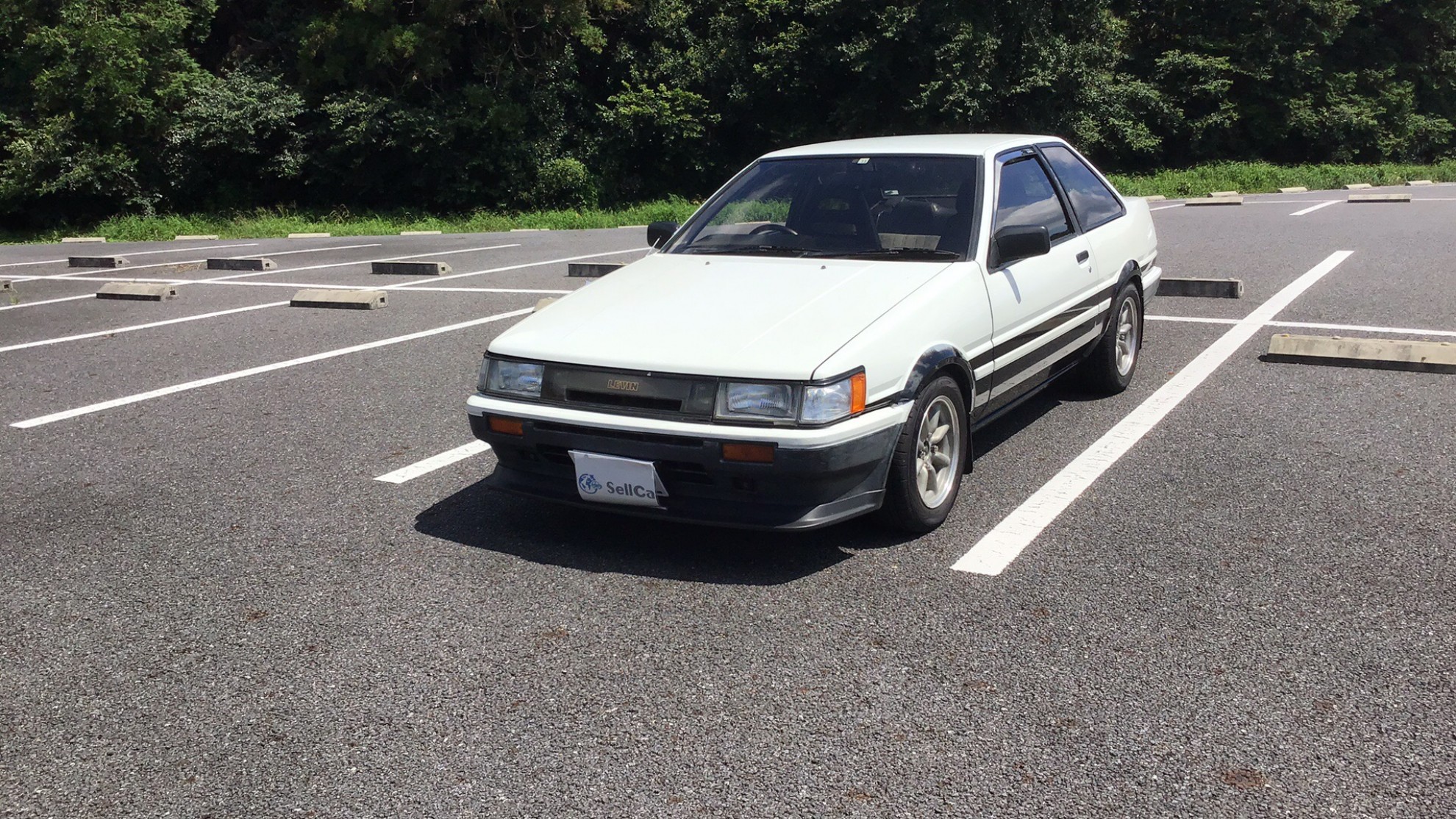 トヨタ カローラレビンの売買実績画像